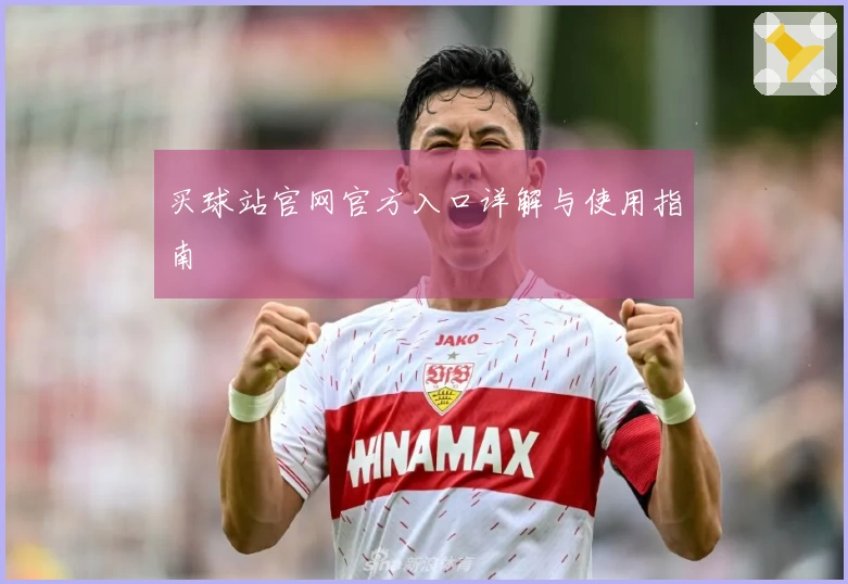 买球站官网官方入口详解与使用指南