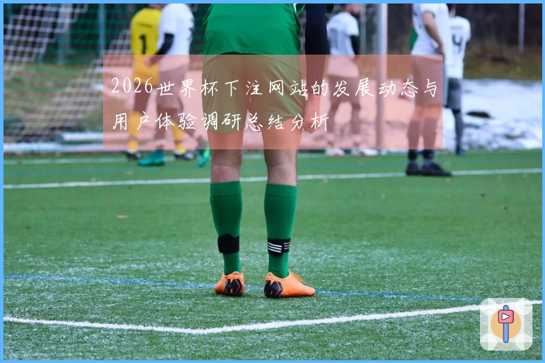 2026世界杯下注网站的发展动态与用户体验调研总结分析