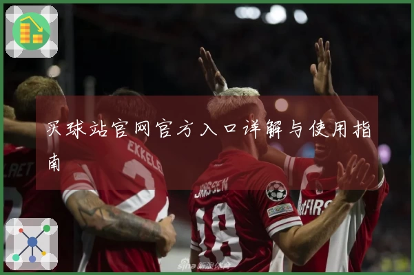 买球站官网官方入口详解与使用指南