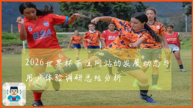 2026世界杯下注网站的发展动态与用户体验调研总结分析